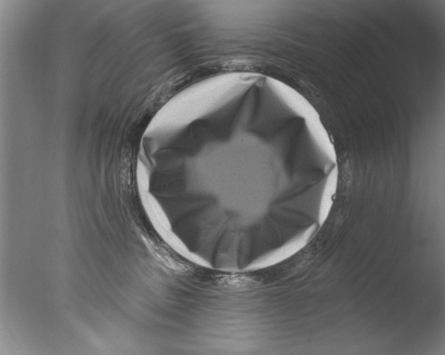 X0000076100379200610202142