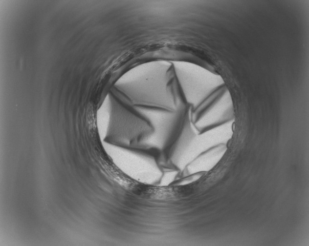 X0000076100384200610202142