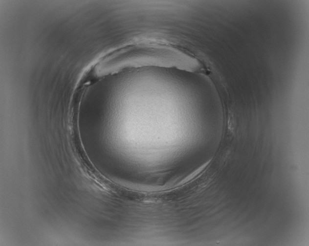 X0000076100388200610202141