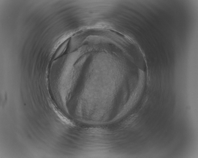 X0000076100389200610202141