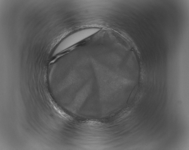 X0000076100393200610202141
