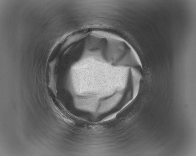 X0000076100395200610202141