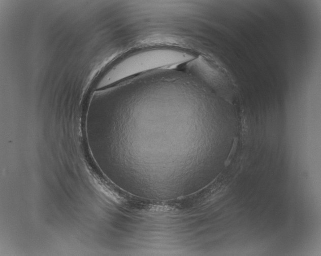 X0000076100399200610202141