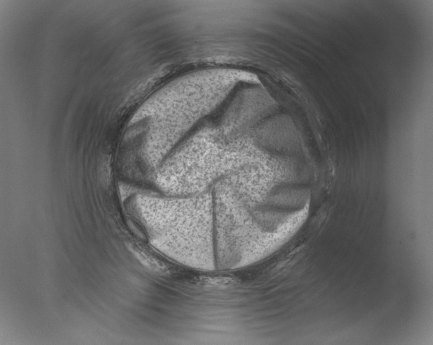 X0000076100401200610202141