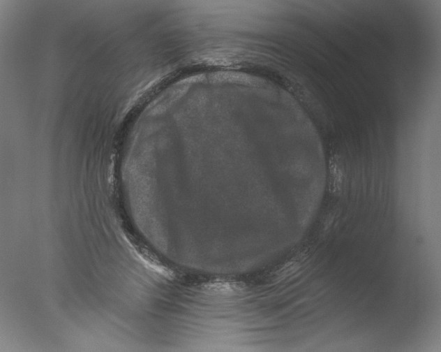 X0000076100404200610202141