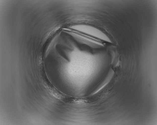 X0000076100407200610202141