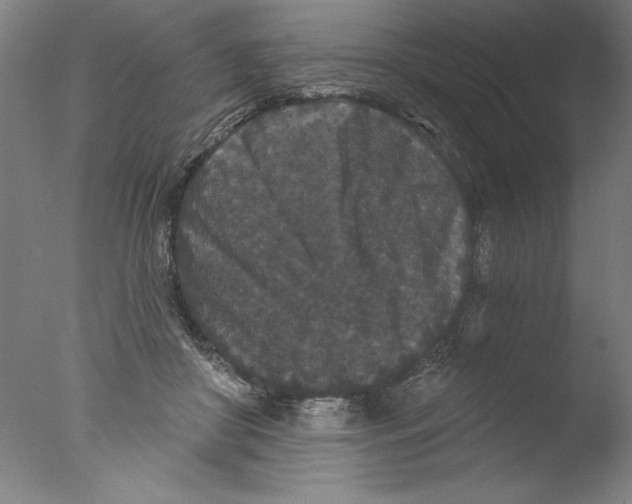 X0000076100410200610202141