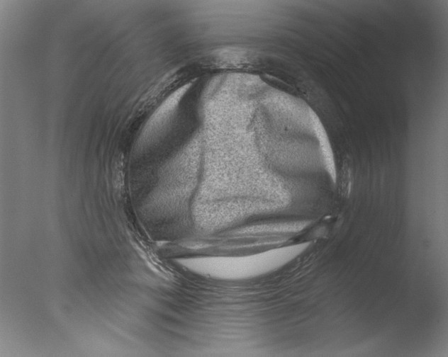 X0000076100413200610202141