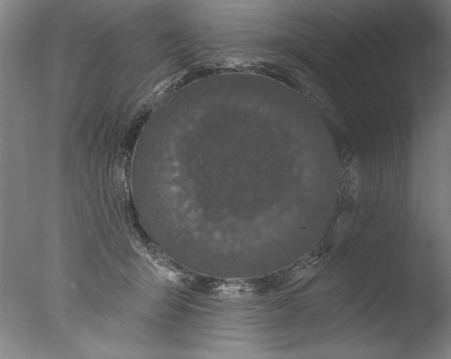X0000076100415200610202141