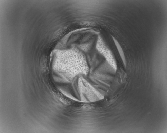 X0000076100416200610202141