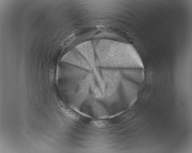 X0000076100417200610202141