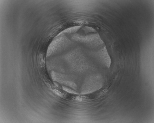X0000076100420200610202141
