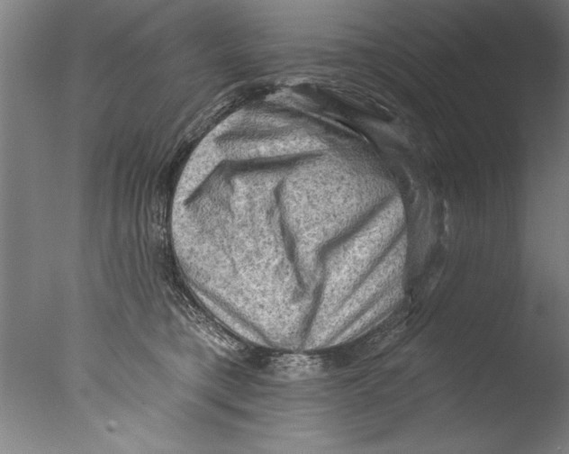 X0000076100421200610202141