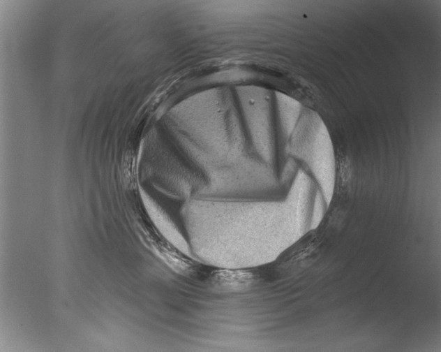X0000076100429200610202140