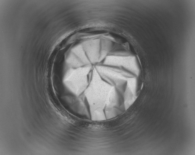 X0000076100440200610202140