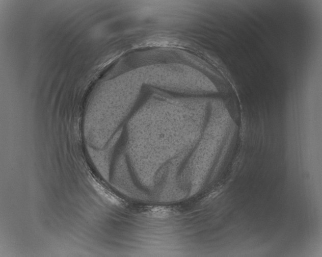X0000076100441200610202140
