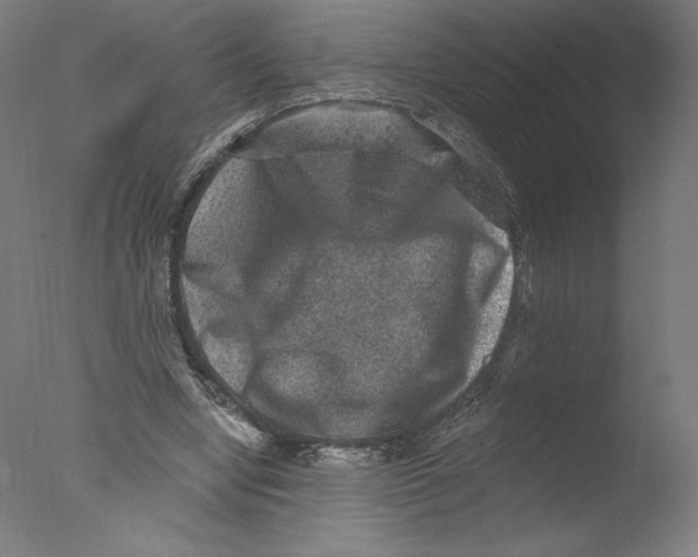 X0000076100442200610202140