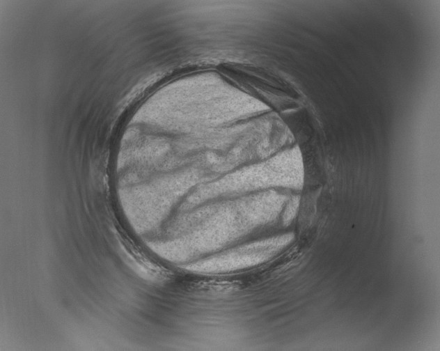 X0000076100443200610202140