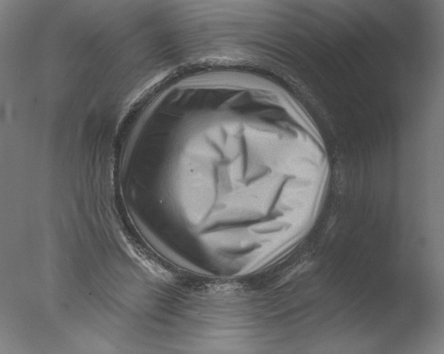 X0000076100446200610202140