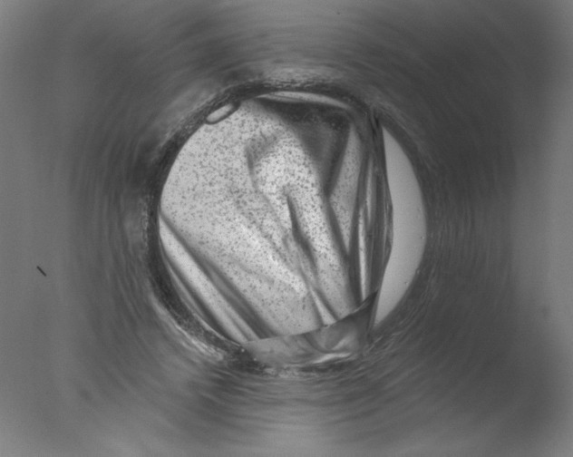 X0000076100448200610202140