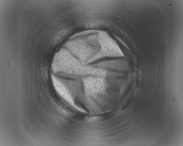 X0000076100452200610202140