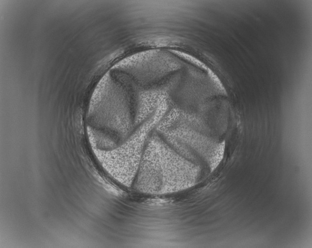 X0000076100453200610202140