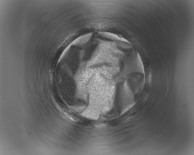 X0000076100456200610202140