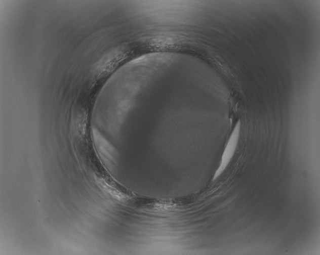 X0000076100458200610202140