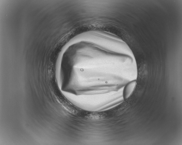 X0000076100464200610202140