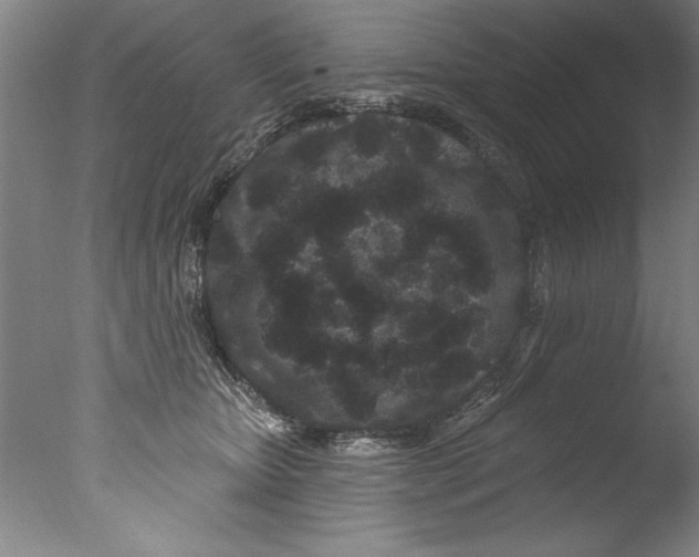 X0000076100467200610202140