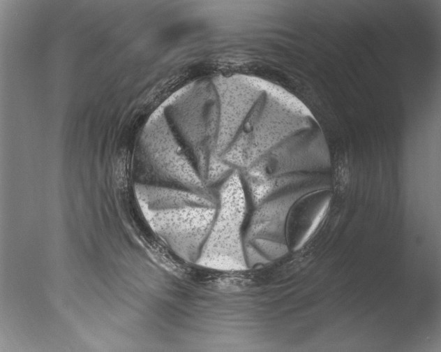 X0000076100468200610202140
