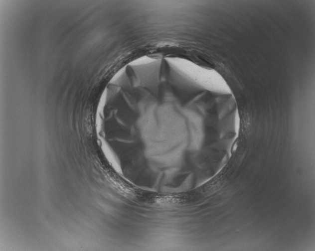 X0000076100470200610202140