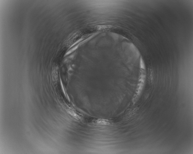 X0000076100475200610202140