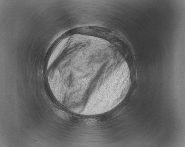 X0000076100483200610202139