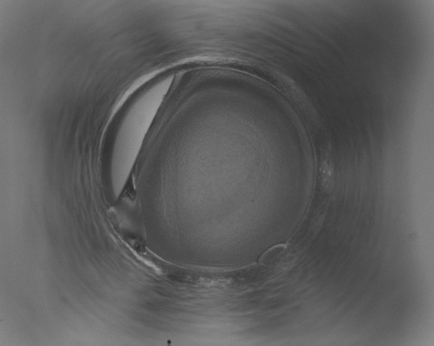 X0000076100484200610202139