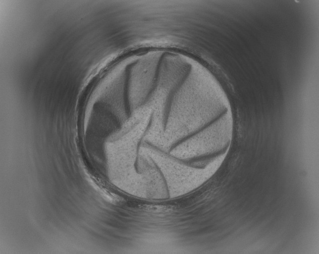 X0000076100486200610202139