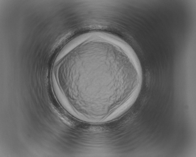 X0000076100490200610202139