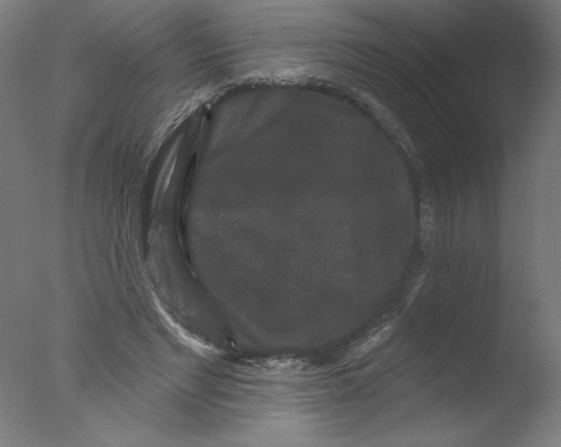 X0000076100493200610202139