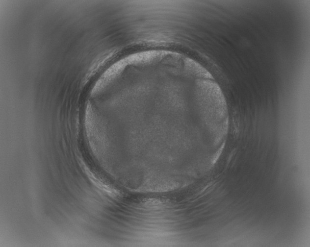 X0000076100494200610202139