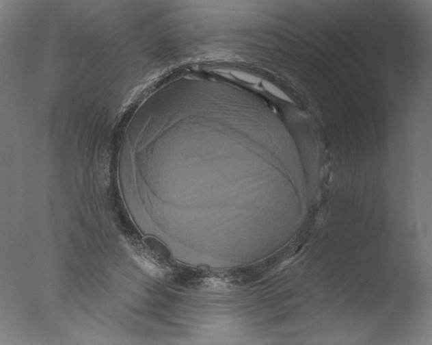 X0000076100496200610202139