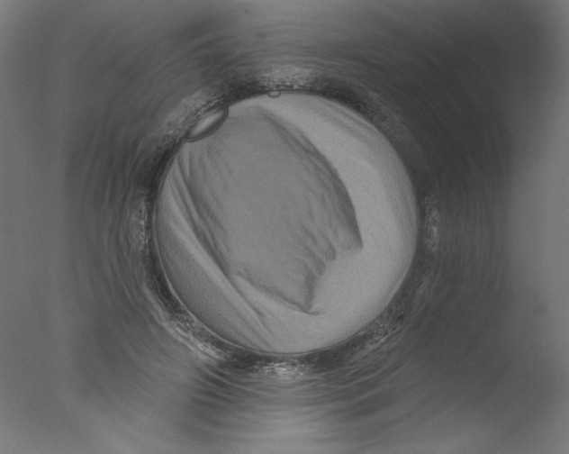 X0000076100498200610202139