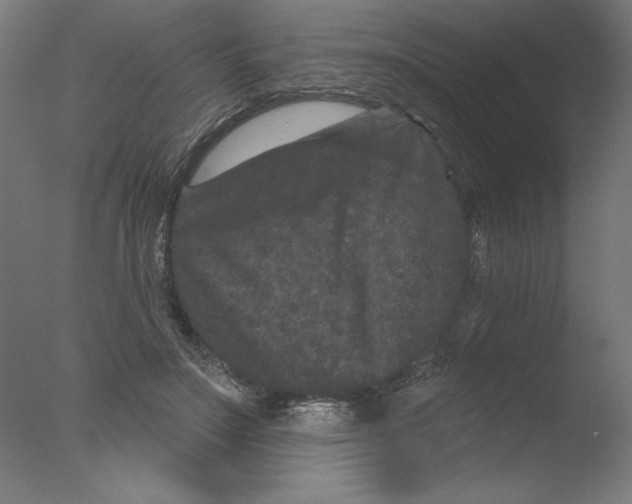 X0000076100499200610202139