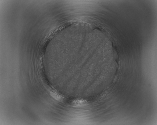 X0000076100503200610202139