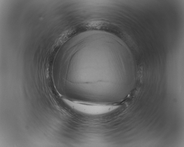X0000076100504200610202139