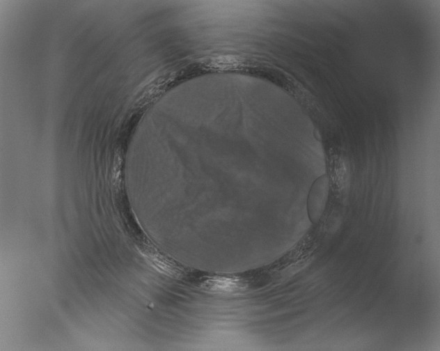X0000076100507200610202139