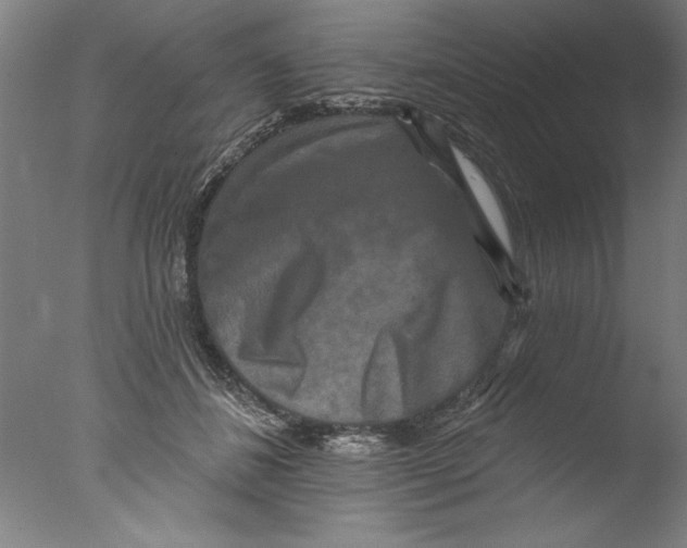 X0000076100508200610202139