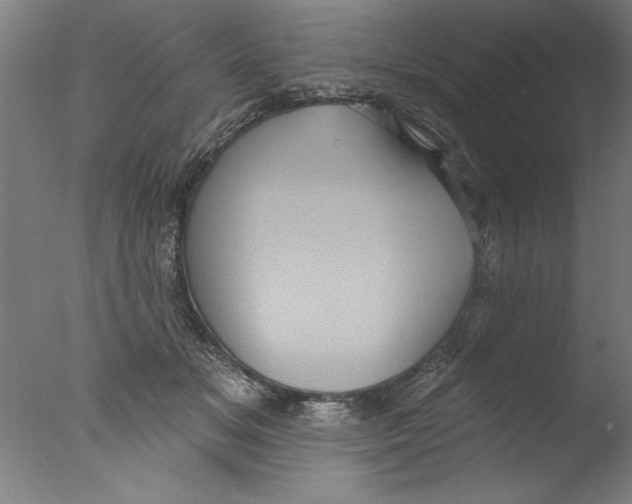 X0000076100509200610202139