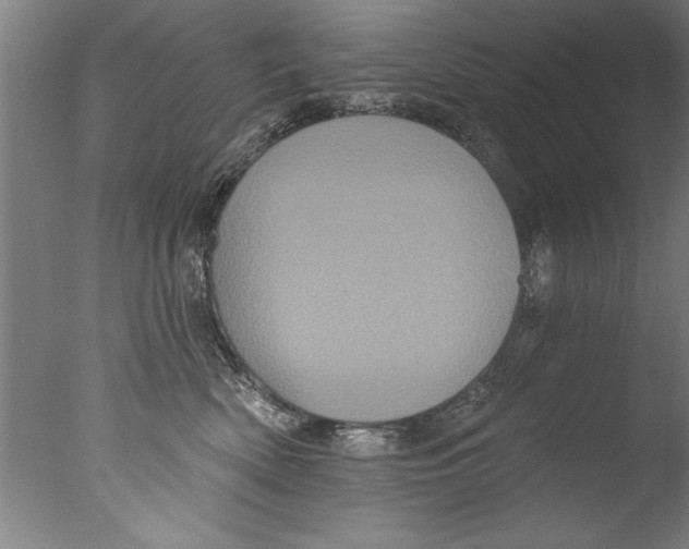 X0000076100522200610202139