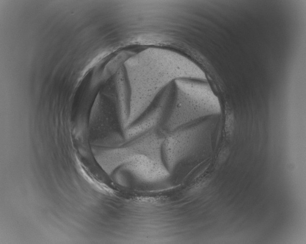 X0000076100530200610202138
