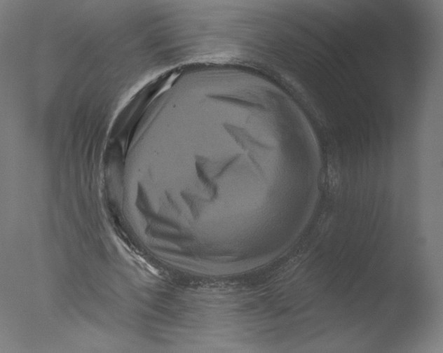 X0000076100532200610202138